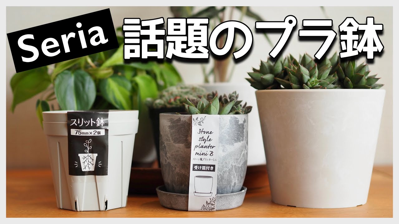 【セリア】話題のプラ鉢を紹介！スリット鉢＆コンクリート風プランター