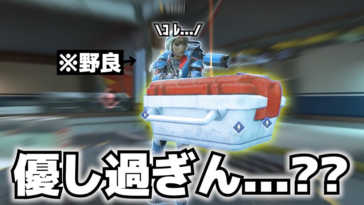 回復くれる可愛い野良さんに恩返し【APEX】