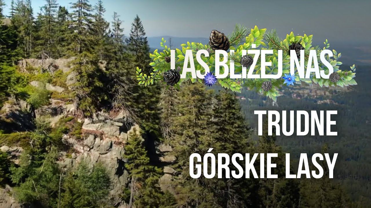 Las bliżej nas - Trudne, górskie lasy