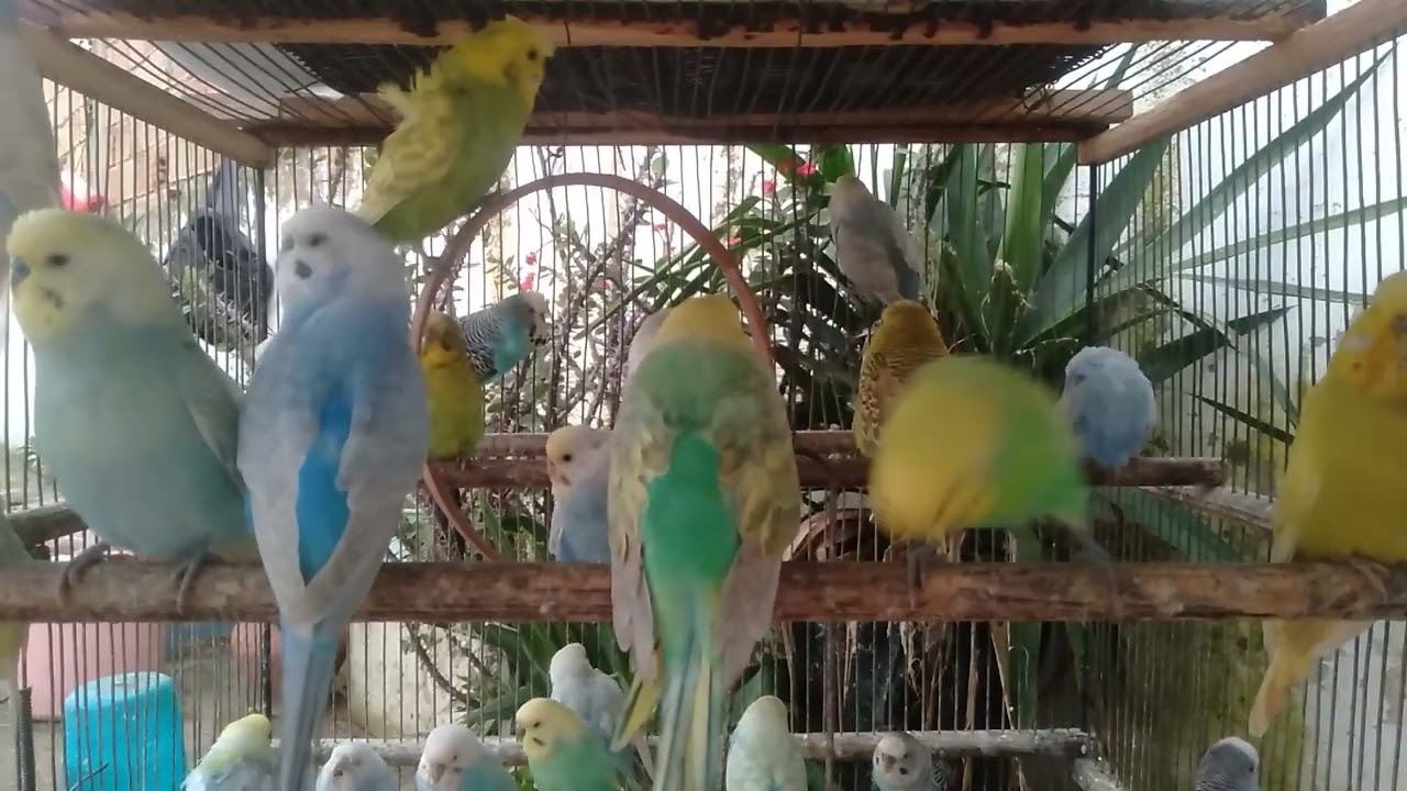 🤯この小物1つで行動が変わった理由