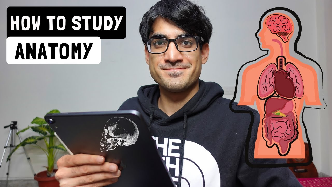 How To Study Anatomy In Medical School (MBBS) | The VisuoSpatial Method