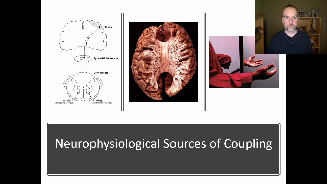 Coordination - Cognitive Neuroscience