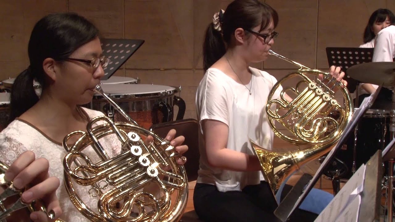 【ラブライブ！】「SUNNY DAY SONG」を吹奏楽で演奏してみた【秋葉原区立すいそうがく団！】Movie of 