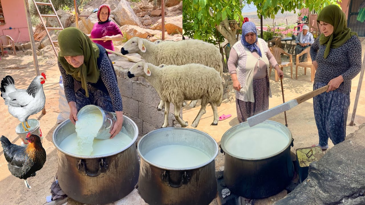 HER YIL KAZAN KAZAN YAPILIYOR \ ANNEM İLE TEYZEM KÖY KAHVALTILARI İÇİN YAPTIĞI KOYUN TUZLU YOĞURT