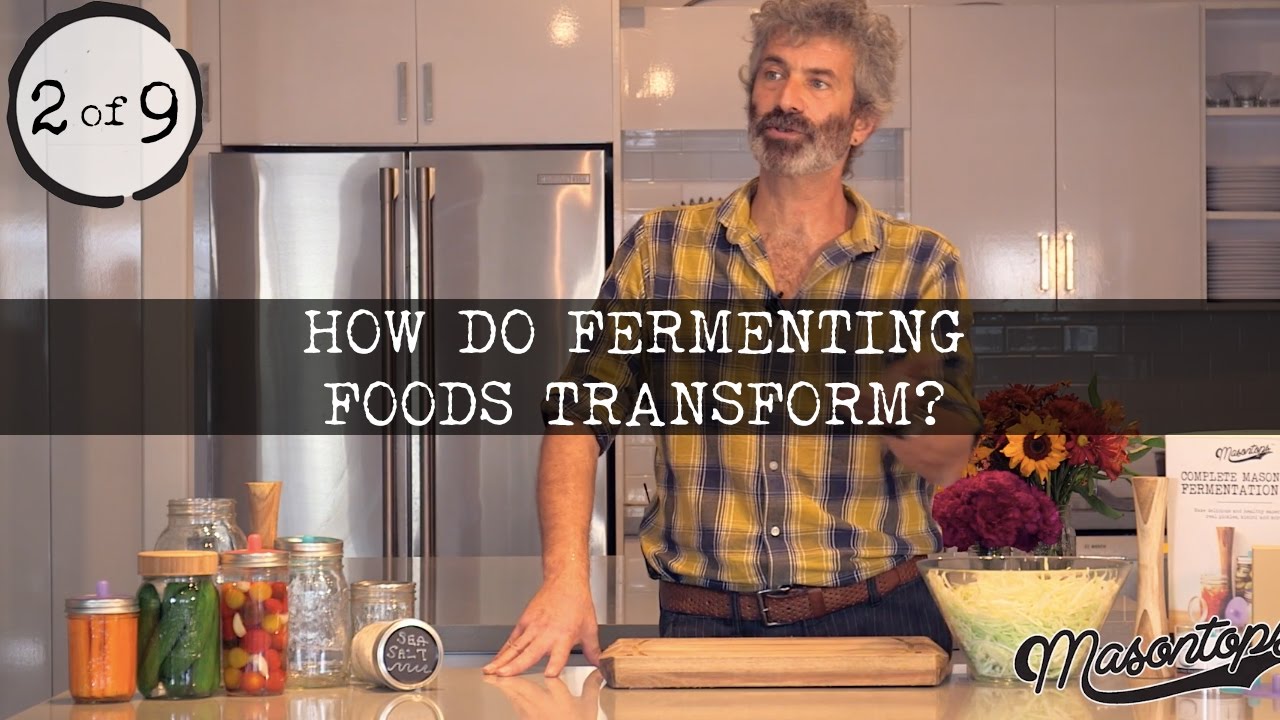 (2 of 9) Sandor Katz - The Transformation of Fermenting Foods