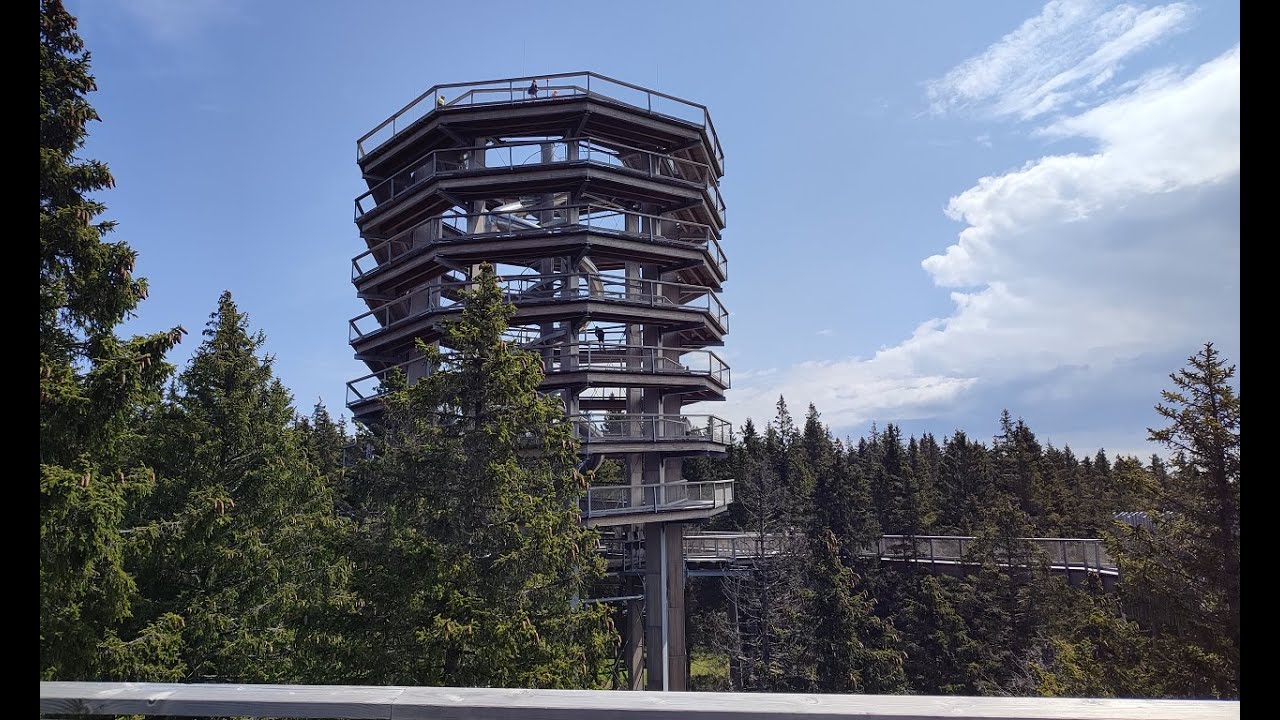 Put među krošnjama - Pohorje