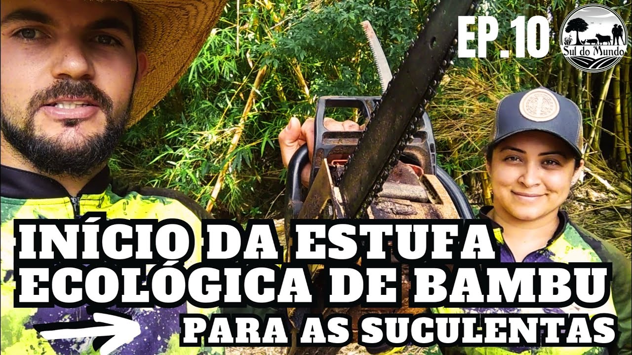✅ [COMO FAZER] uma ESTUFA ECOLÓGICA BARATA usando BAMBU ♻
