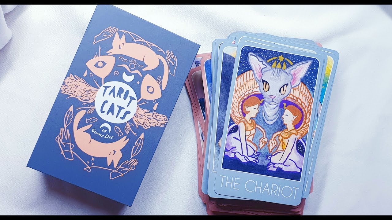 Tarot Cats by BunnyDee || Tarot Deck Review - Flipthrough *no talking*