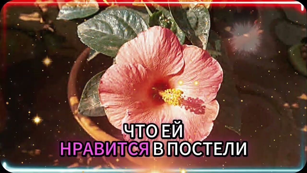 7 вещей, которые женщины делают в постели, когда уже изменяют | Женская психология