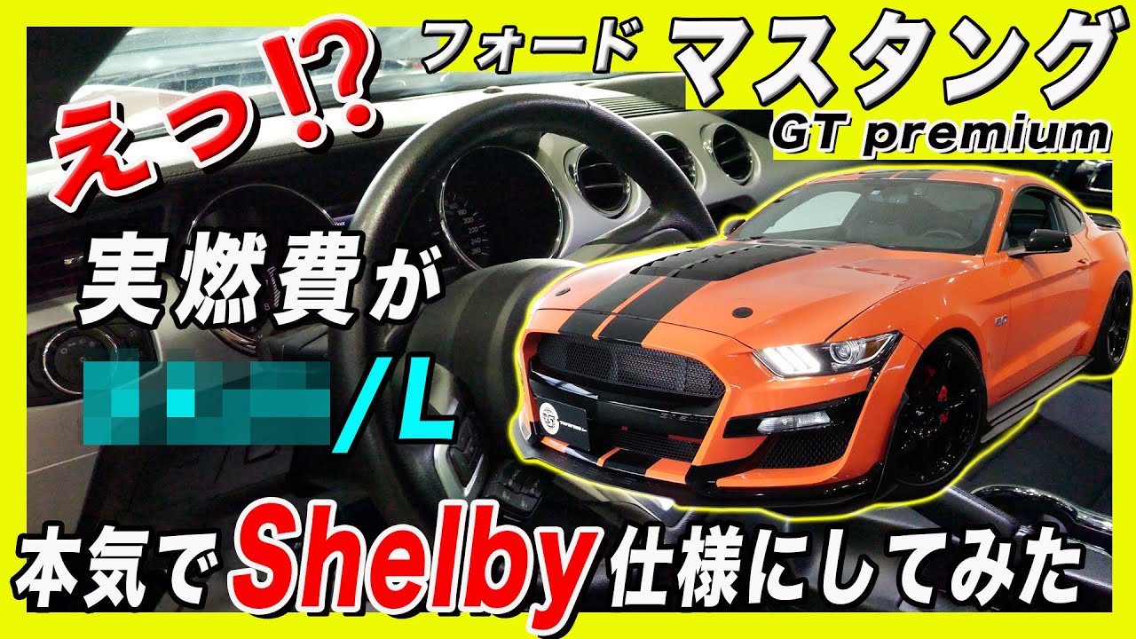【フォード マスタング】見た目はGT500！実燃費はアルファード並み！本気でシェルビー仕様にカスタムしてみたらコスパ最強の車になった！！| FORD MUSTANG GT500 STYLE