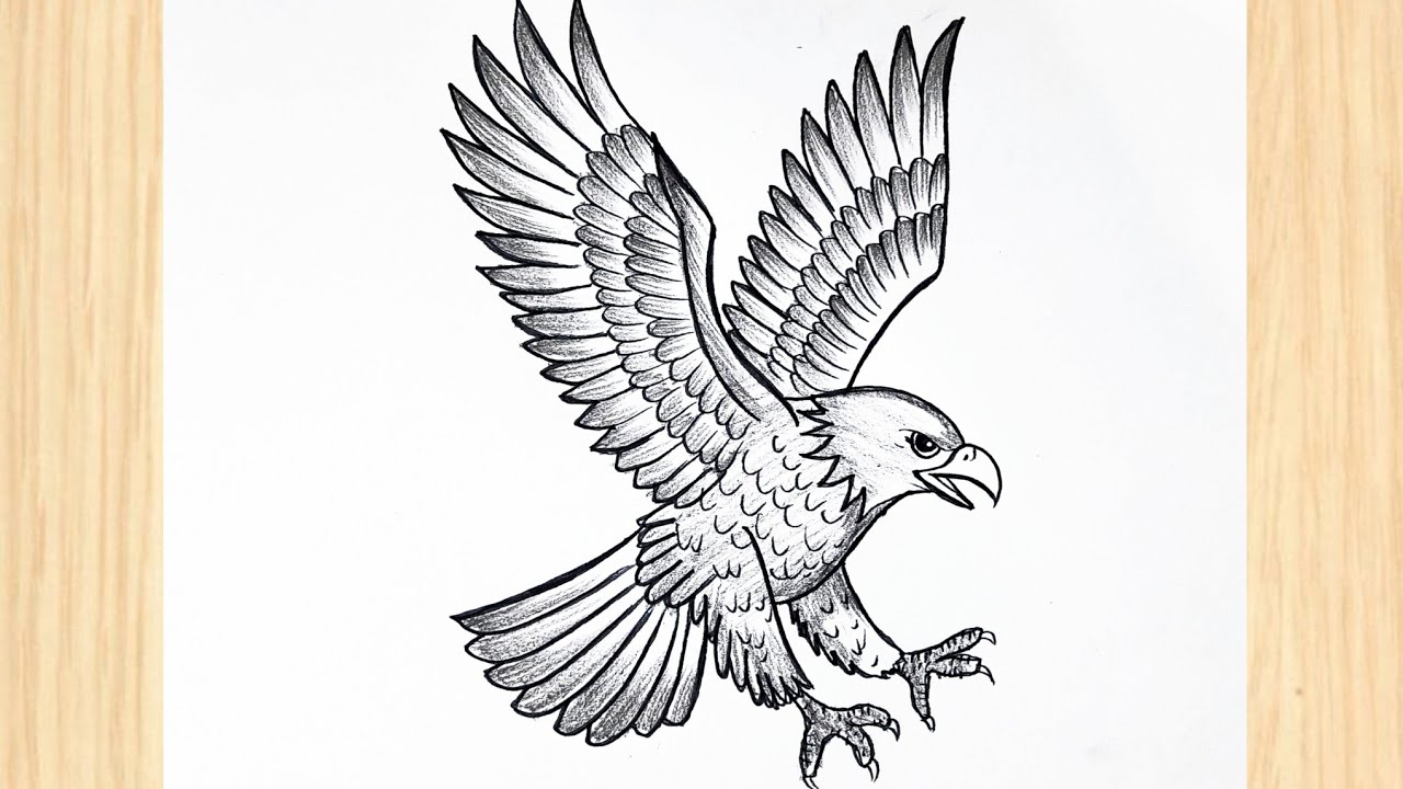 How To Draw A Bald Eagle | Eagle Drawing Easy Step By Step 