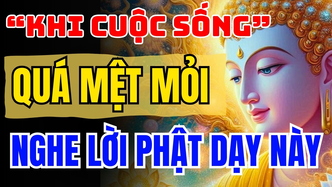 Khi Đời Quá Mệt Mỏi – Nghe Lời Phật Dạy Này, Lòng Bỗng Nhẹ Hẳn