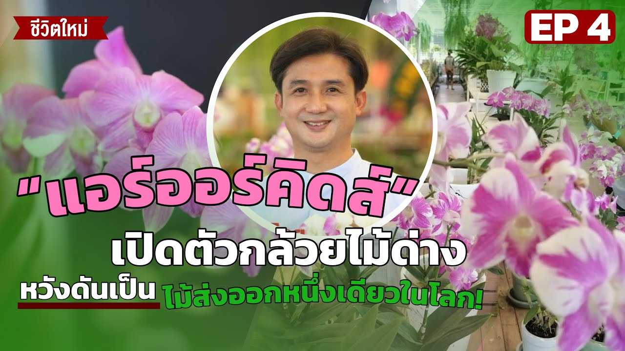 1 ใน 1 หมื่นต้นกว่าจะได้!!! กล้วยไม้ด่างแอร์ออร์คิดส์เปิดใจทำไมต้อง กล้วยไม้ด่าง?!! #ชีวิตใหม่