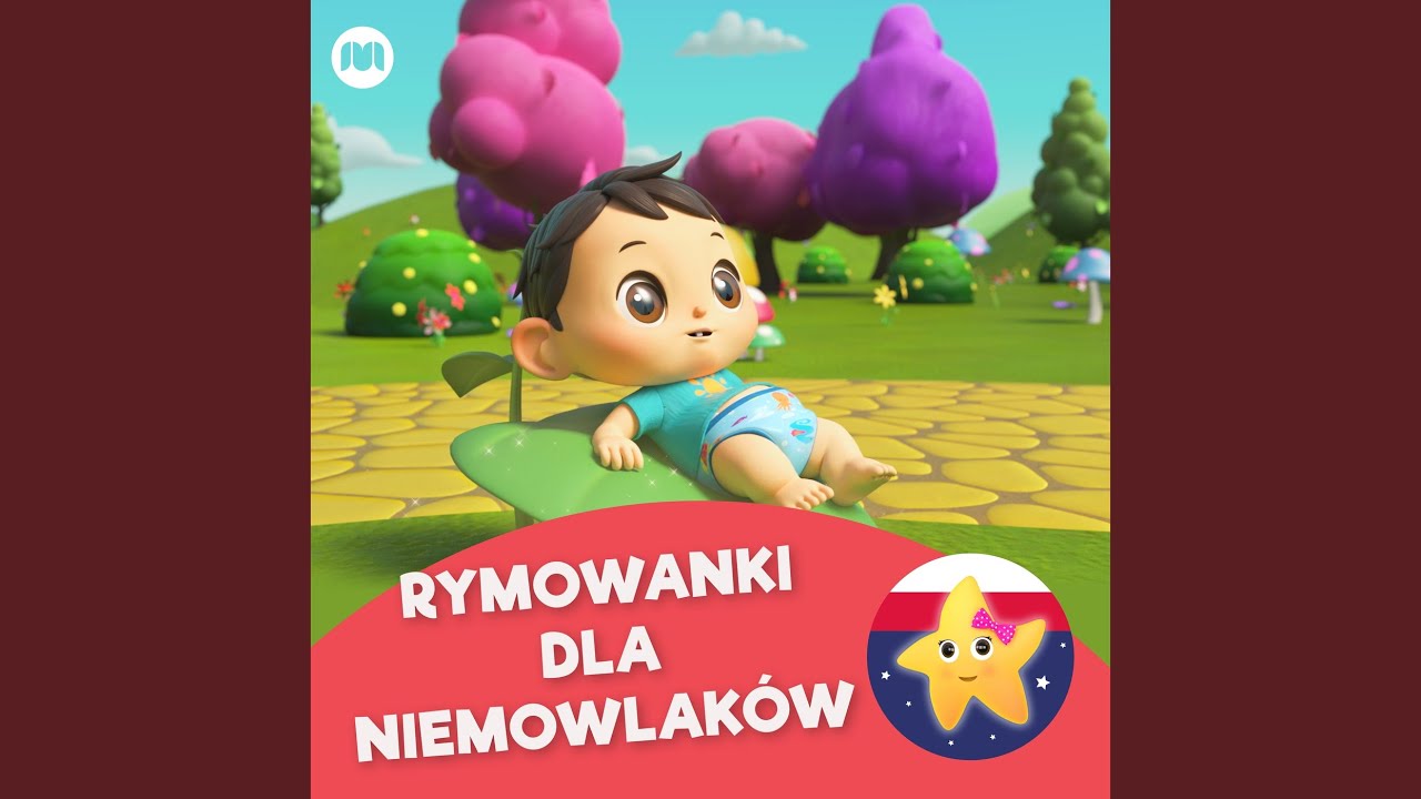 Autobusy - różne rodzaje