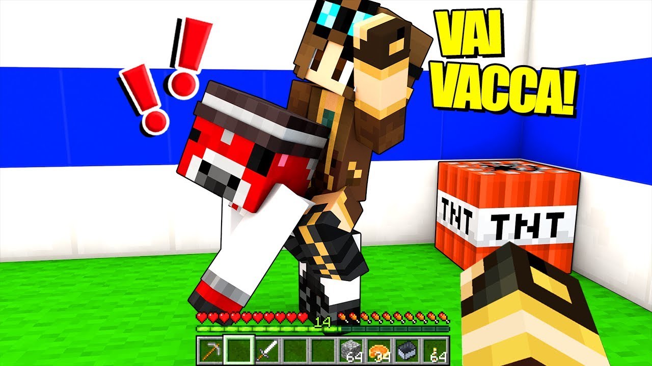 MIA MAMMA ODIA CICO SU MINECRAFT!! *GRIEF*