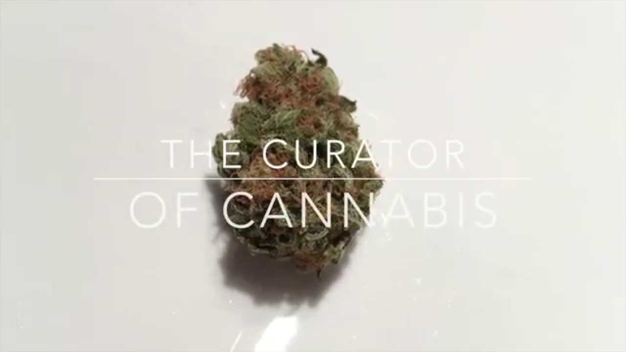 Strain Review - Platinum OG (Humboldt Seed Organization)