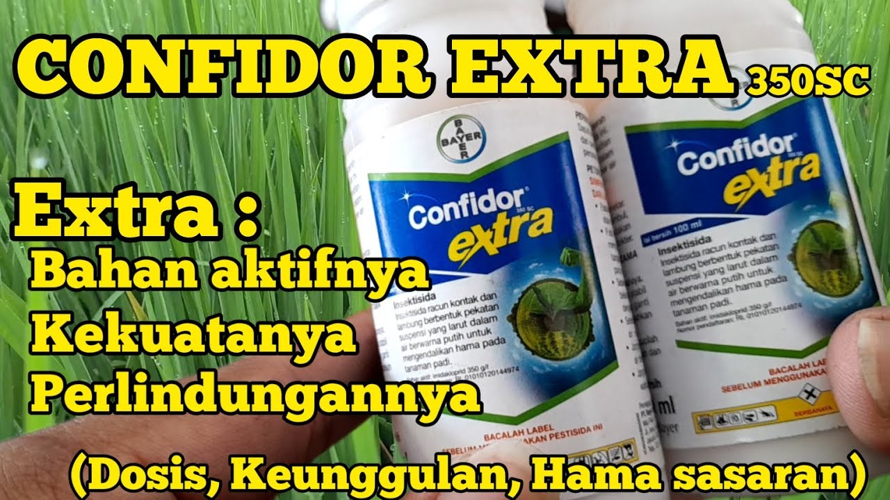 CONFIDOR EXTRA.BASMI HAMA & BERI PERLINDUNGAN TANAMAN LEBIH EXTRA.