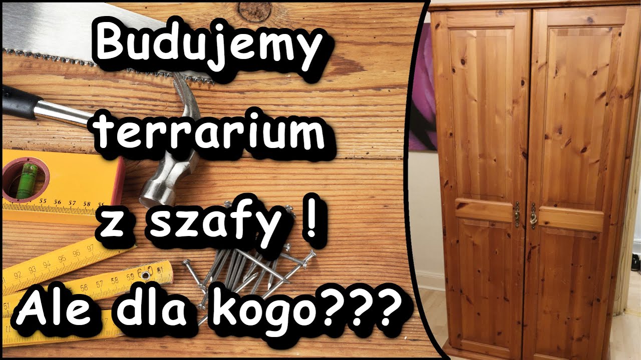 Budujemy dwumetrowe tropikalne terrarium i ujawniamy kto w nim zamieszka.