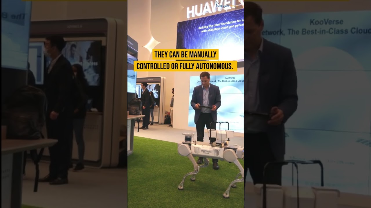 Play with a Robot Dog using 5.5G