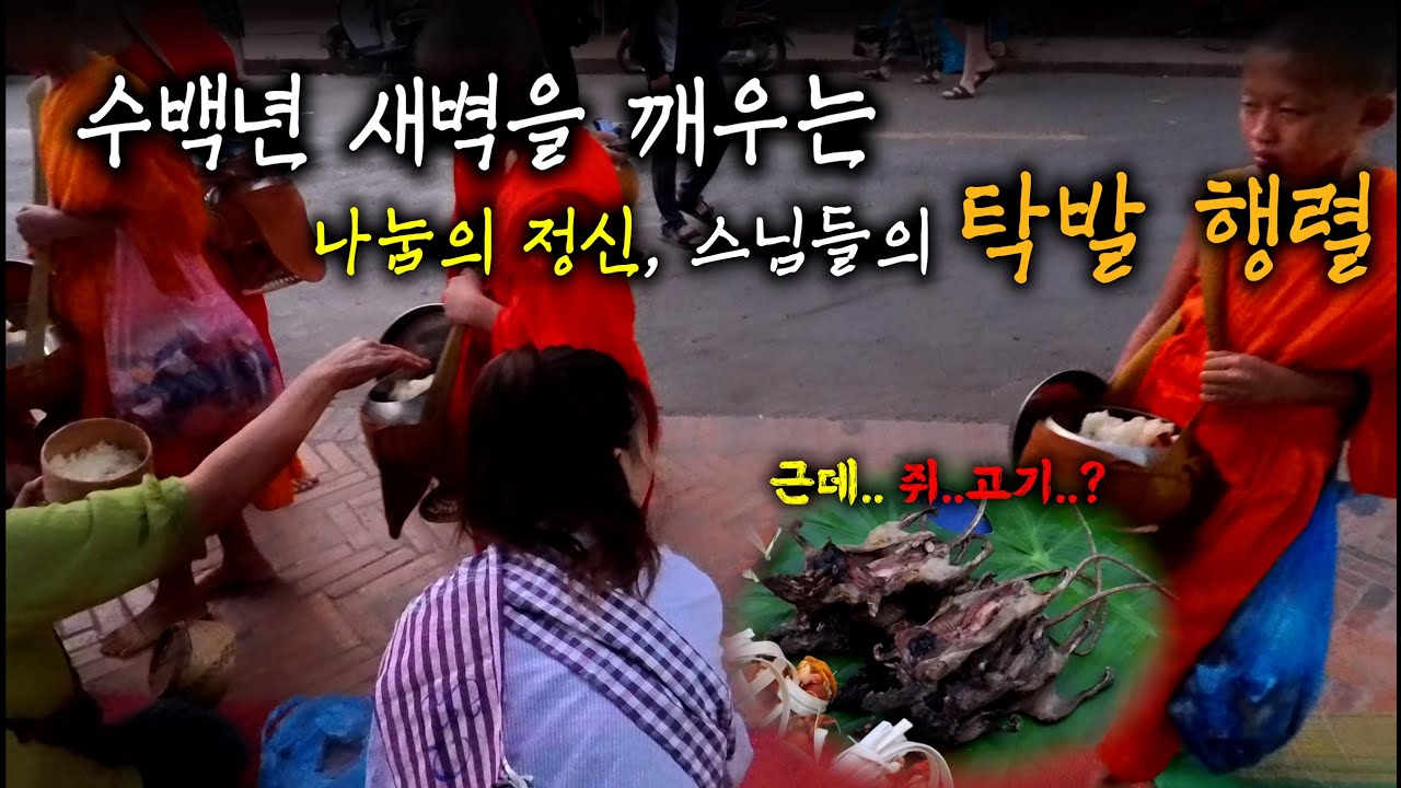 🇱🇦루앙프라방의 새벽, 오래된 전통의 탁발 행렬 참여 후 아침시장 구경 중 충격적인 정체[라오스-8]