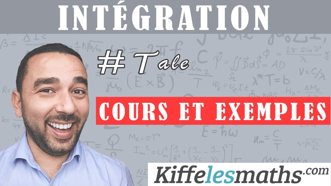 Qu'est ce qu'une intégrale ? Integrales et aire.