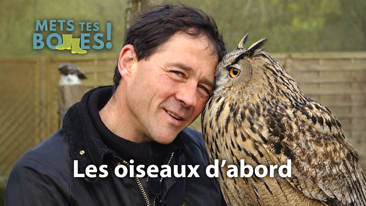 Fauconnerie : le choix radical d’une vie hors normes