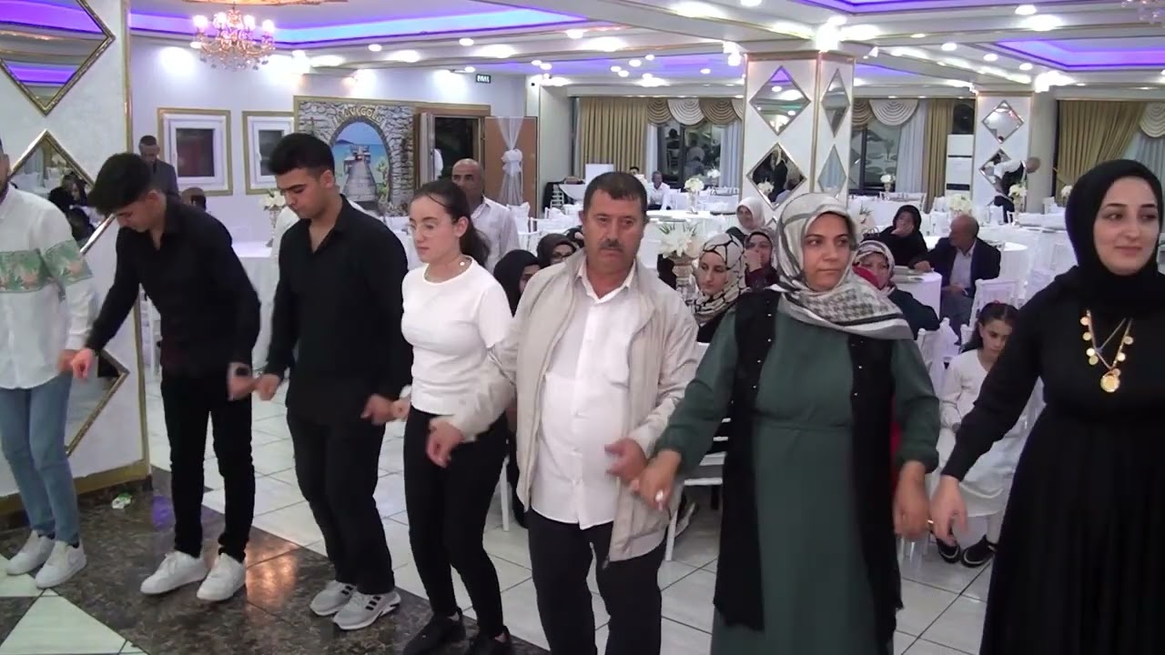 xelef halay