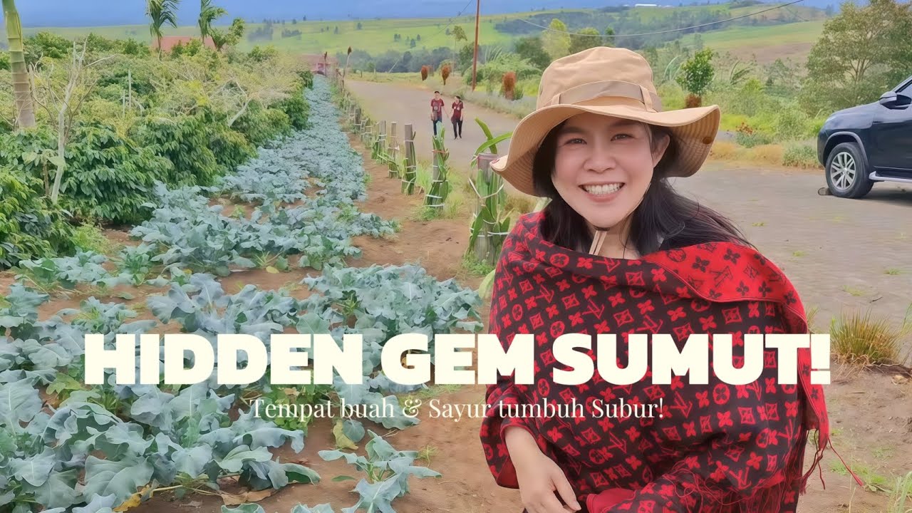 Panen Buah-buahan Seharian! Hidden Gem Sumatera Utara!