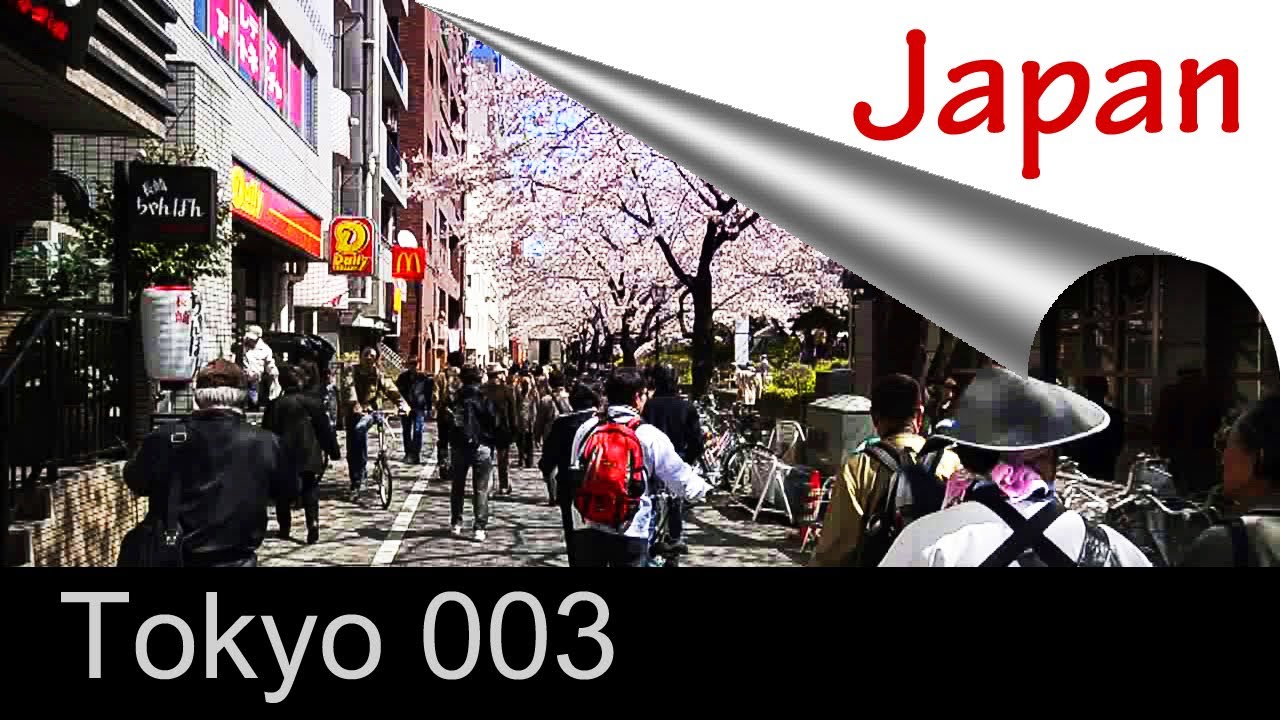 Série de Tokyo 003 - 花見（上野～隅田川） HANAMI (Ueno ～ Rivière Sumida) - Tokyo Trip / Trip to Japan