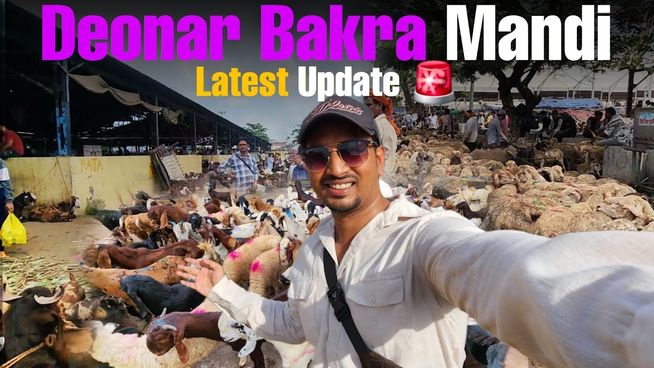 Deonar Bakra Mandi 2025 | Latest Update, Bakra Prices & Goat Market Mumbai! 