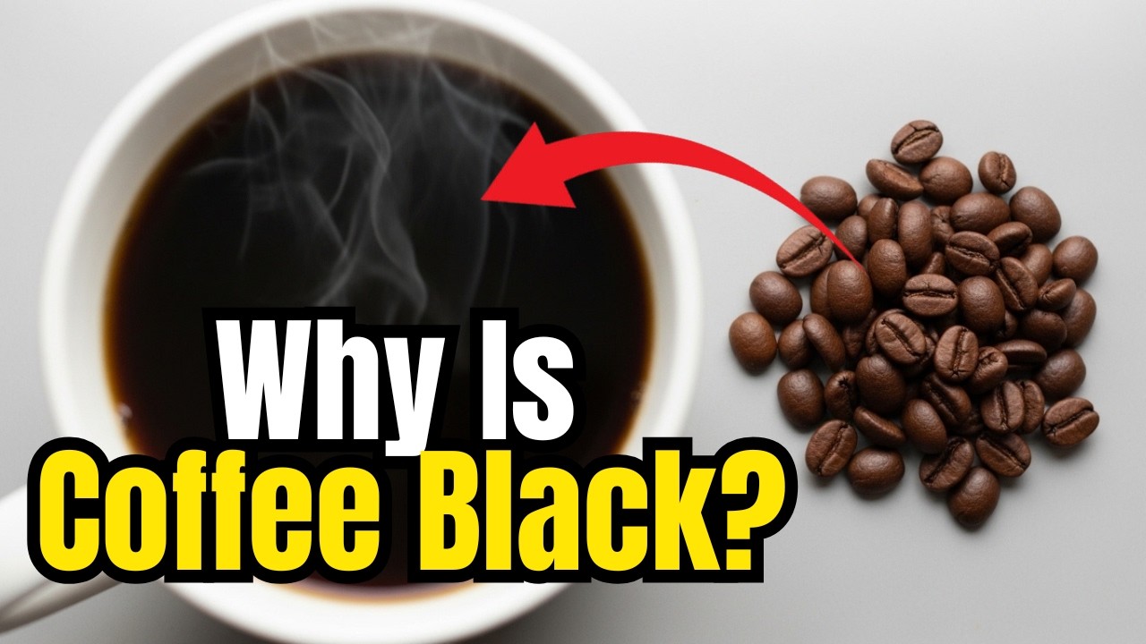 If The Bean Is Brown, Why Does Coffee Turn Black?