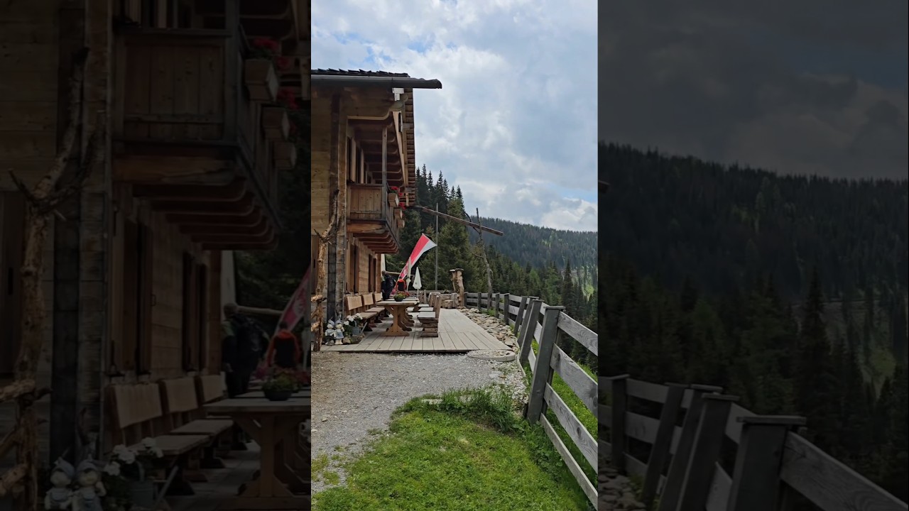 La bellissima Malga San Silvestro in Val Pusteria 🐄🦌 - .Die sch&ouml;ne Silvesteralm im Pustertal 🐄🦌