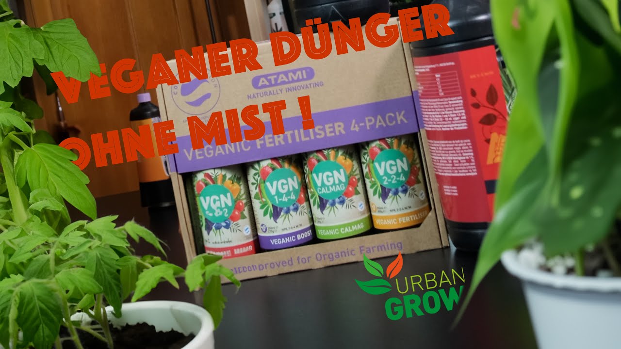 🔥 Homegrow, Legalisierung und Veganer Dünger – Unsere spannende Unterhaltung mit Daniel von ATAMI 🌿