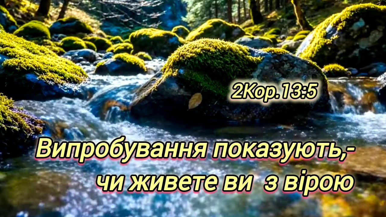 29.01.2026 Тема: 