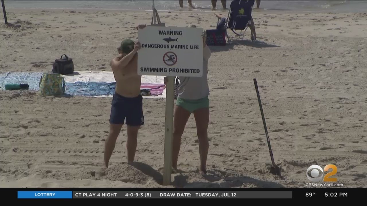 Surfer bitten by shark at Smith Point Beach, Long Island