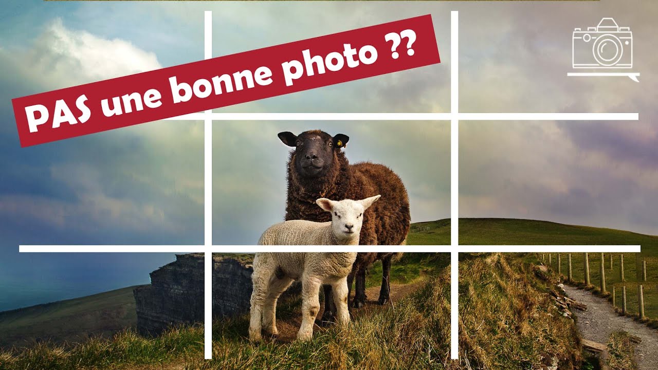 📷 La composition n'existe pas.