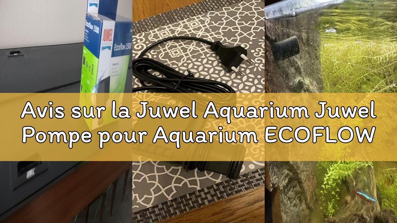 Avis sur la Juwel Aquarium Juwel Pompe pour Aquarium ECOFLOW 600 pour RIO 180 et 240, VISION 180 et
