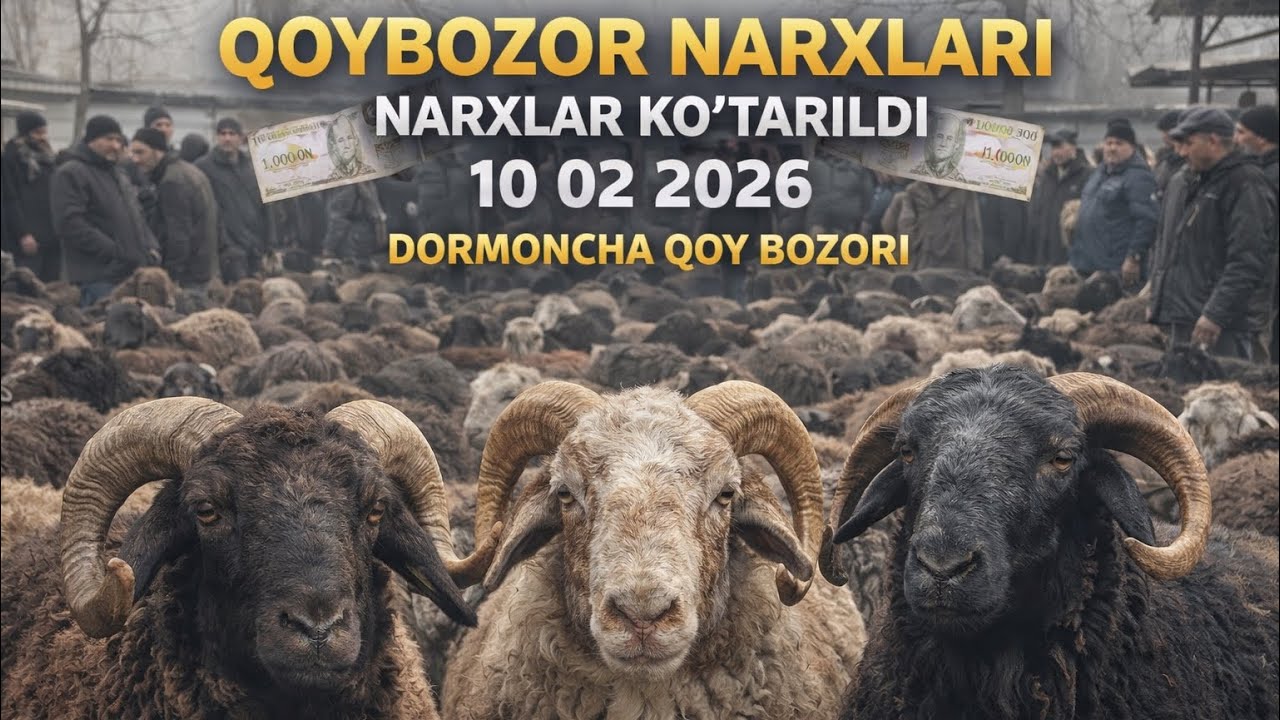 ONA BOLA QOY NARXLARI BILAN TANISHING 10 02 2026 ✅✅✅DORMONCHA BOZORI👍👍👍💥