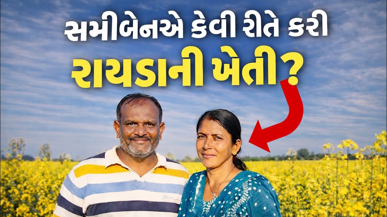 એક મહિલા ખેડૂતની સફળ રાયડાની ખેતી