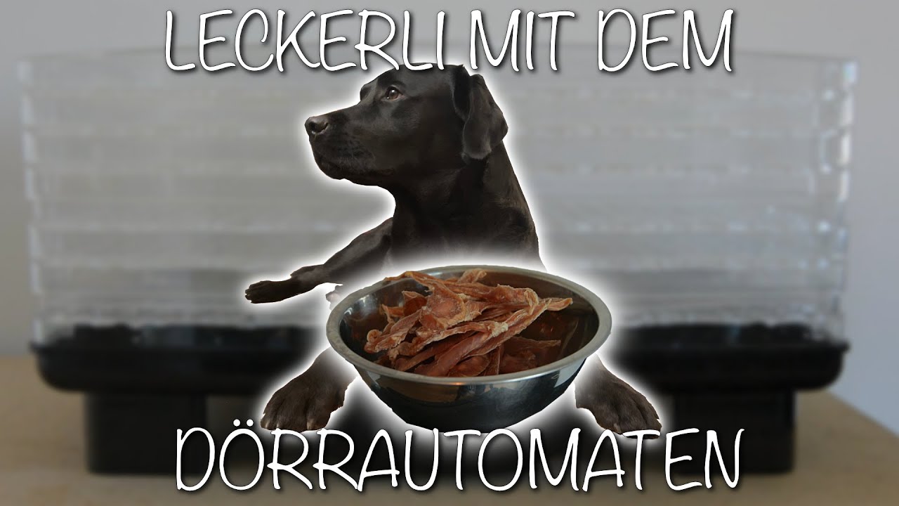 Cedric der Labrador - 64 | Leckerli mit dem Dörrautomaten