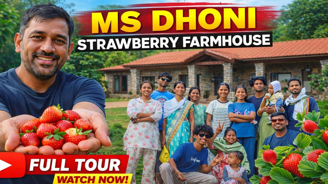 MS DHONI STRAWBERRY 🍓 FARMHOUSE 🤤 with family 💯