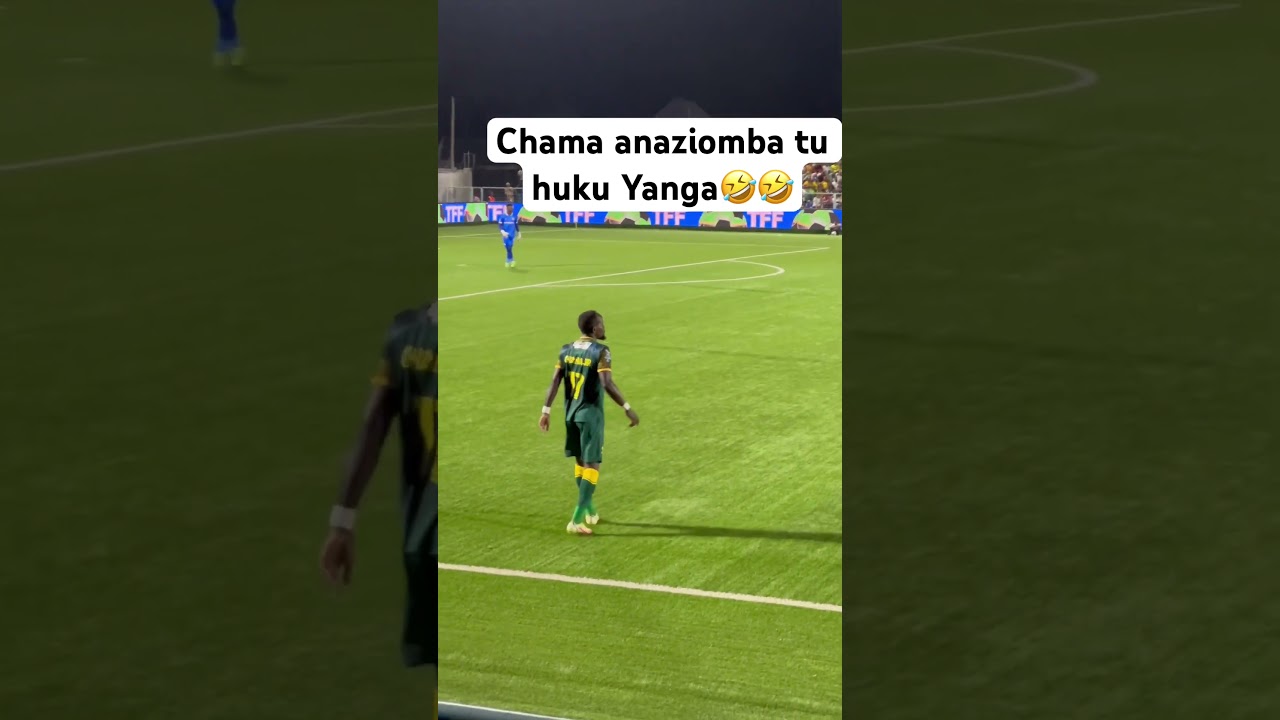 Chama anaziomba tu huku Yanga🤣🤣 #ayomamedia
