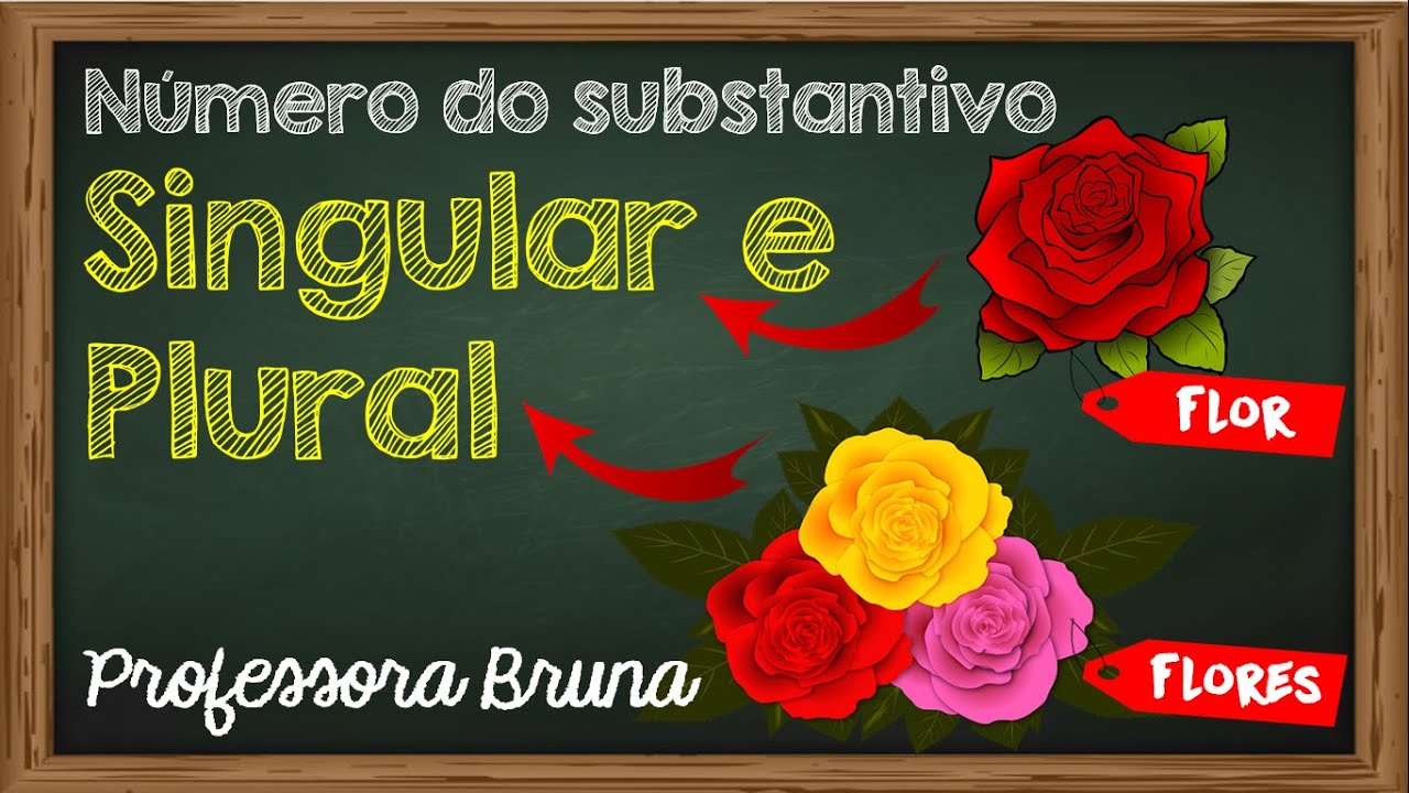 Singular e plural - Número do Substantivo
