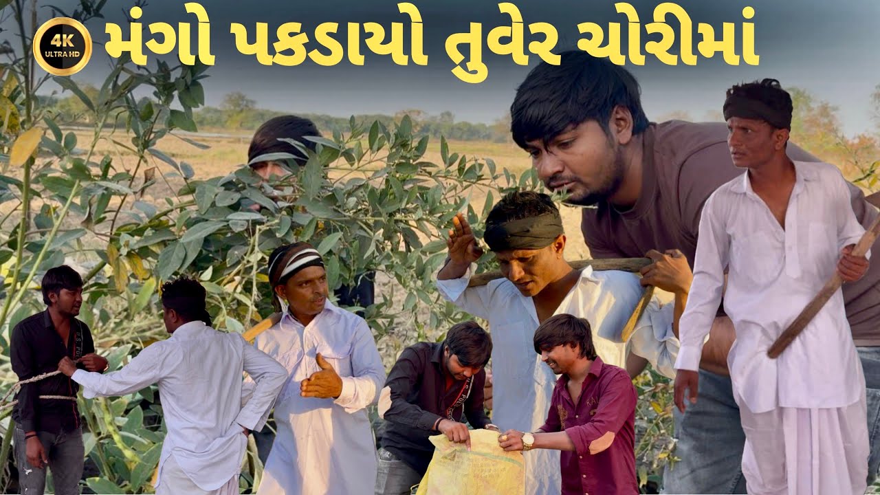 મંગો પકડાયો તુવેર ચોરીમા//gujarti comedy video//bindass bolo gj 38