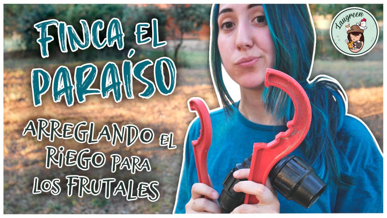 Finca el Paraíso, Arreglando el Riego para los Frutales