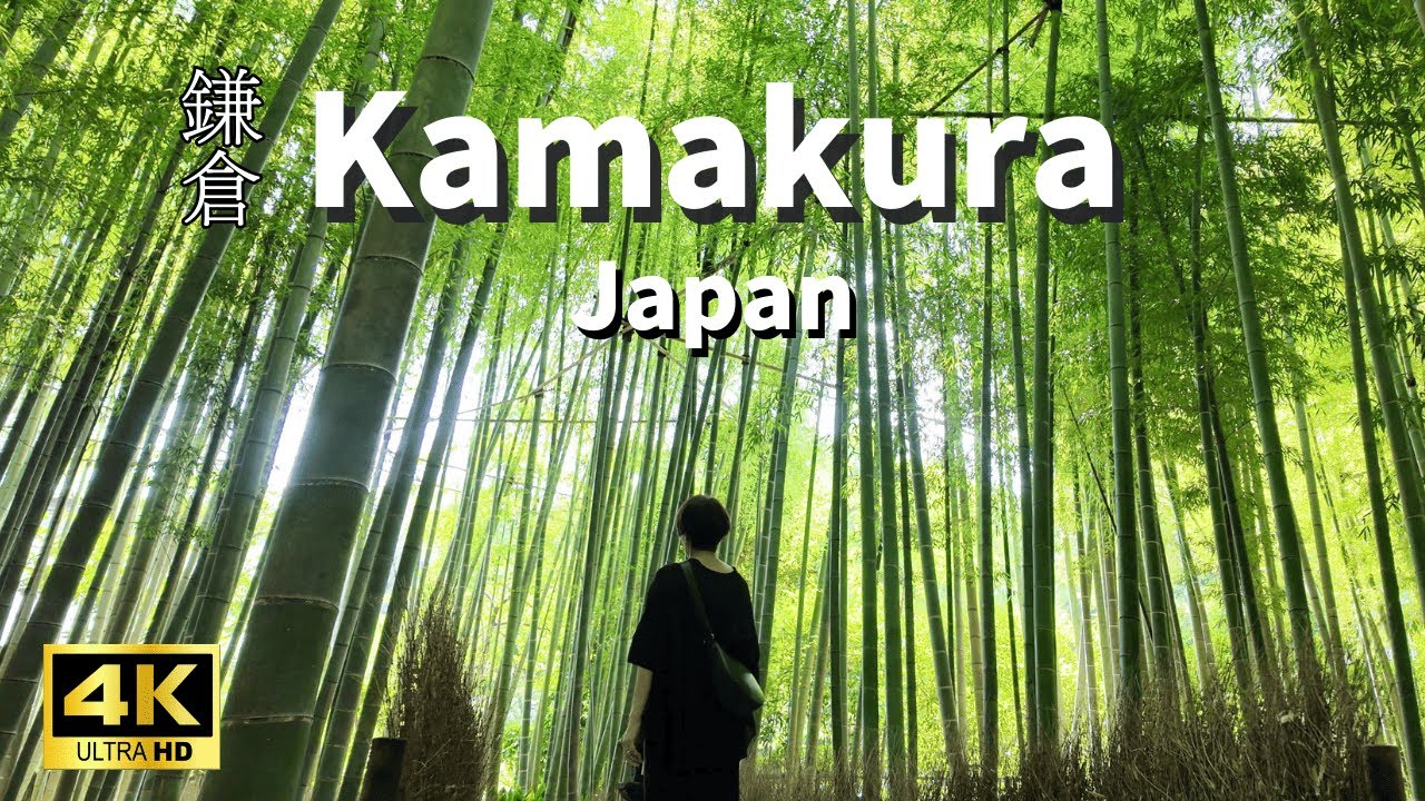 Kamakura🇯🇵 Enjoy the Great Buddha, Bamboo Forest, Match to the fullest!