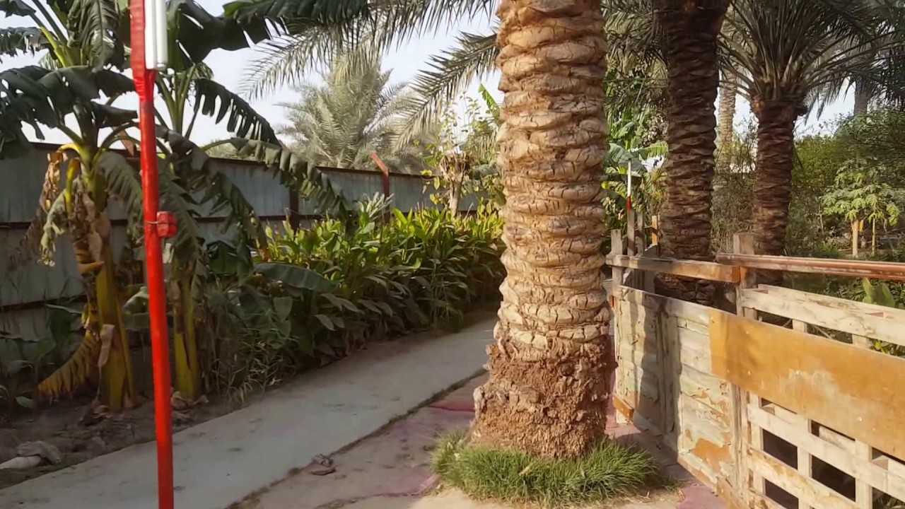 جولة في استراحة المحيط بالجارودية - ستوديو الإيثار