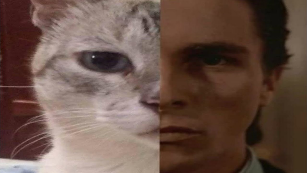 Memes e Shitposts T4 Ep183