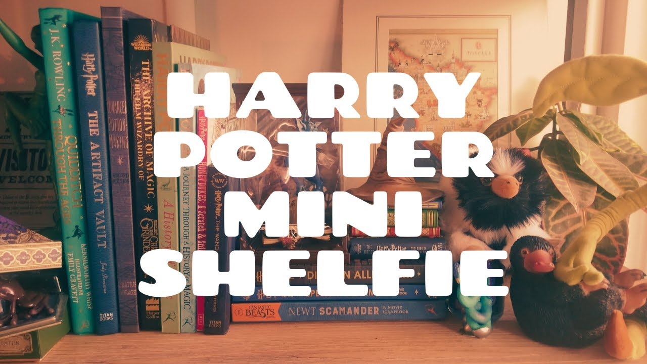 MINI HARRY POTTER BOOKSHELF TOUR - MY WIZARDING WORLD COLLECTION