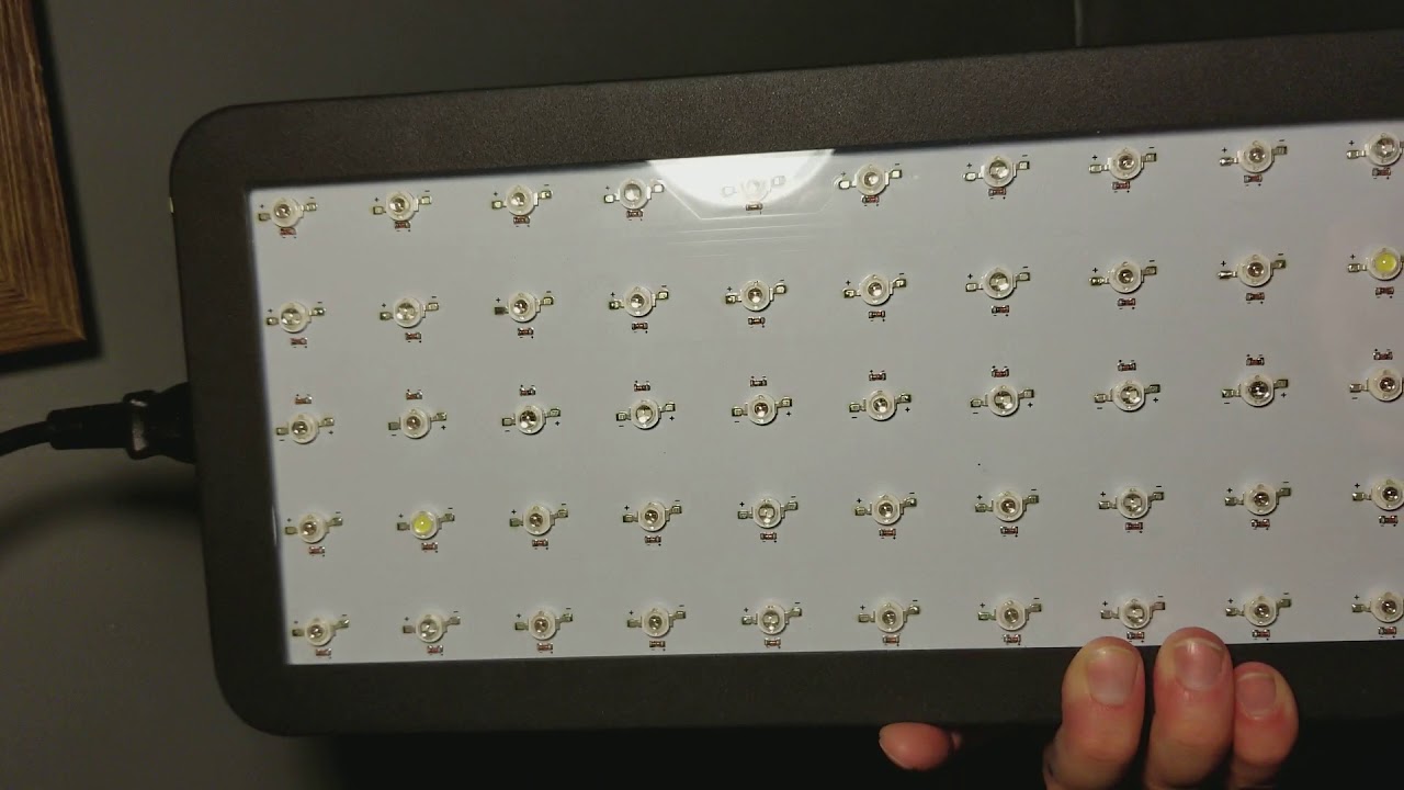 Phlizon 600 watt